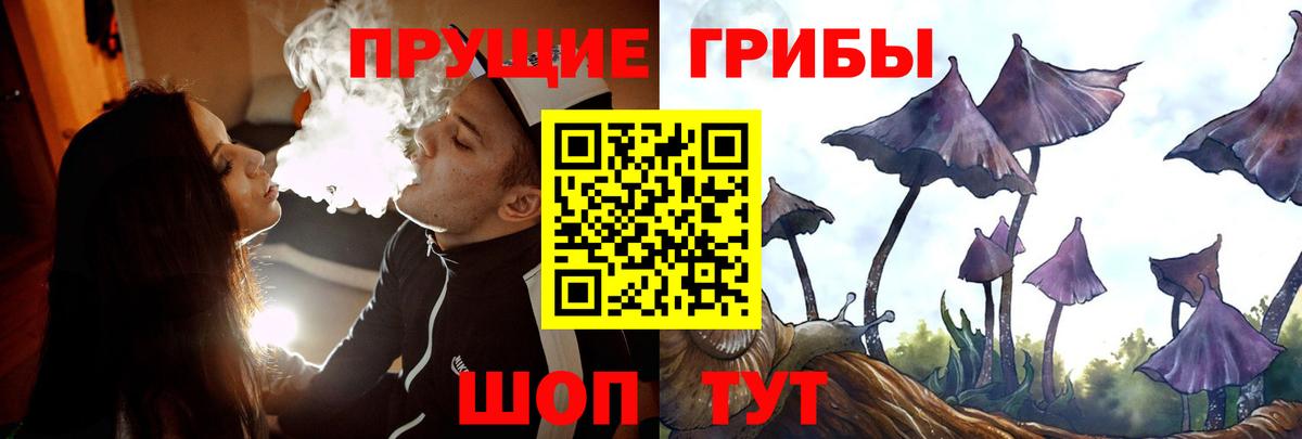 Зима  где купить наркоту  Вход с VPN  Галлюциногенные грибы Magic Shrooms  Галлюциногенные грибы прущие грибы 